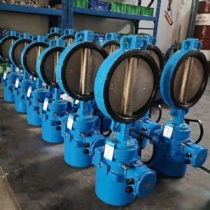 D971X電動對夾蝶閥