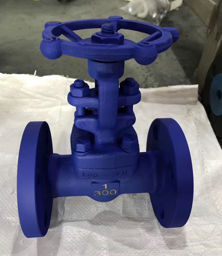 Z41Y珞鉬鋼鍛鋼閘閥