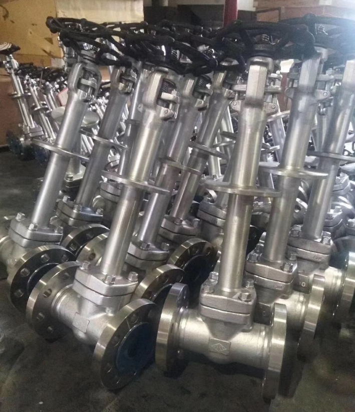 Z41Y鍛鋼低溫閘閥